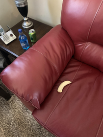 I work with clients who have intellectual disabilities I just found it endearingly funny that one of my guys just casually left their banana on the couch to come and eat later