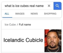 Ice Cubes real name