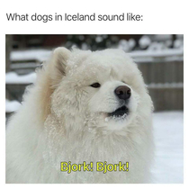 Icelandic dgg