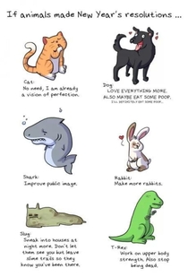 If animals made New Years resolutions