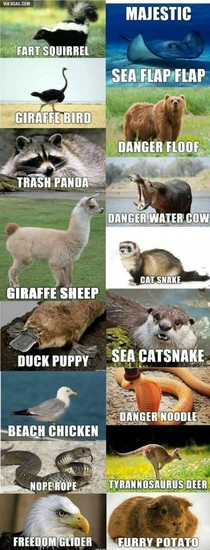 If Redditors named animals
