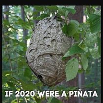 If  were a pinata