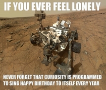If you are ever feeling lonely