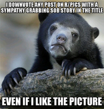 If your picture is good it doesnt need the sob story