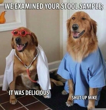 Ill see your new professor and raise you the Dogtors