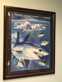 Im a marine biologist in a federal building and someone put googly eyes on the fish postersin a federal building