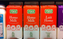 Im not Canadian and I have just found out about homo milk This is a thing in Canada Ive been laughing my ass off for like  mimutes now 