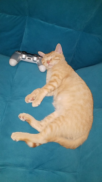 Im trying to play some games Should I wake him up lol