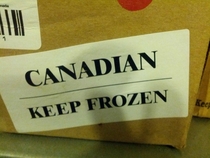 In Case Anyone Gets A Pet Canadian This Christmas Here Is The Most Important Care Tip