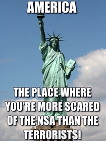 In light of the new NSA leaks