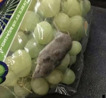 In Russia you get a fluffy toy with vine-grapes