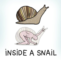 Inside a snail