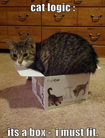 Instead of cat in the hat now its cat in the box