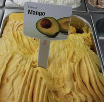 Interesting specie of mango