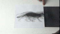 Interference pattern of a cat running