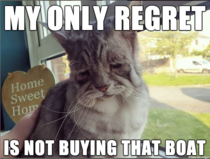Introducing Regret Cat