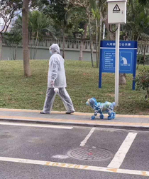 Is this how I will have to walk Fido in PA soon My sister in law lives in Beijing and sent this to us this morning She says more and more Beijing is going full out protection mode due to coronavirus How does that dog do his business
