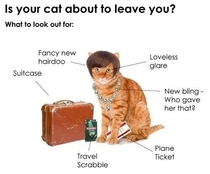 Is your cat about to leave you