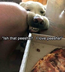 Ish that peesha I love peesha