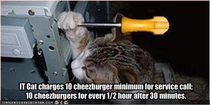 IT Cat charges reasonable rates