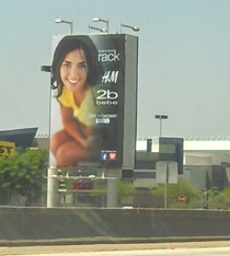 It looks like someone took a picture of this woman on the toilet and stuck it up on the billboard