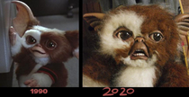 It wasnt great for Gizmo either