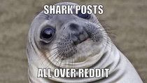 Its a bad day to be a seal on reddit today