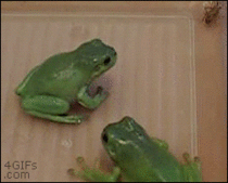 Its a frog eat frog world
