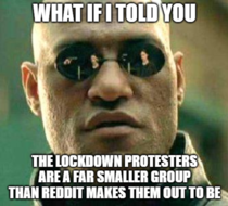 Its ironic that the protests are astroturfed yet Reddit ensures that it gets as much attention as possible