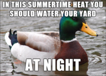 Its over F outside and I keep seeing sprinklers running during the day so I figure this must be said