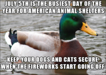 Its tht time of the year again keep your pets safe