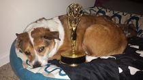 Ive also won an Emmy but my dog guards it