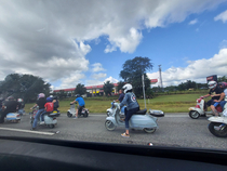 Ive heard of motorcycle gangs but looks like now theres scooter gangs