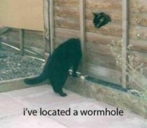 Ive located a wormhole