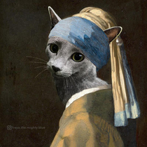 Ive turned my kitty into a lady with a pearl earring she fits so perfectly