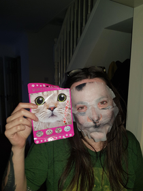 Japanese cat facemask