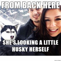Jealous Relationship Husky