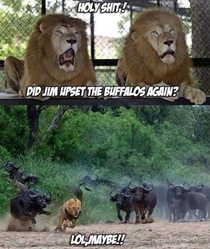 Jim upset the buffaloes again