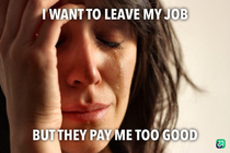 Job Dilemma
