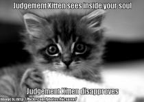 Judgement Kitten sees into your soul