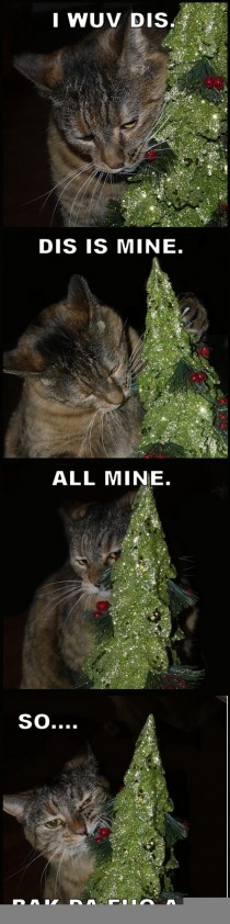 Just a Cat and Her Christmas Tree