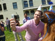 Just a guy taking a selfie with a llama in a party hat