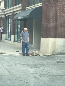 Just a man walking his tortoise
