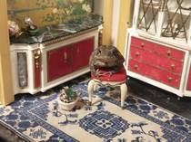 Just a toad hanging out in a miniature room