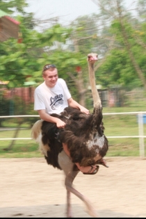 Just me riding an ostrich No big deal