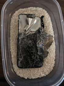Just put your phone in rice should be fine in the morning