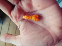 Just wanted to share my  year old cheeto Cant decide if I want to donate to cheeto museum or cover in apoxy resin and designste as New family heirloom
