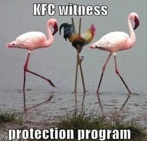 KFC WPP