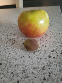 Last year we planted several small fruit trees at our new house yesterday that planting paid offwe got our first peach apple for scaleIts basically just a pit covered in fuzz but its a start