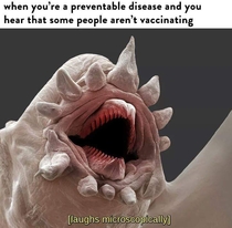 Laughs microscopically